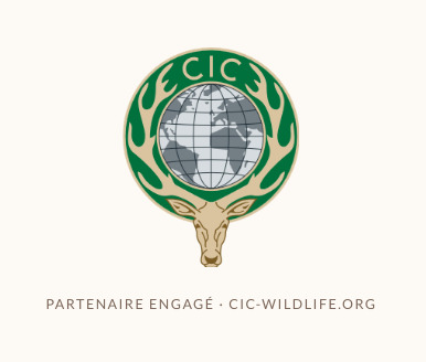 CIC